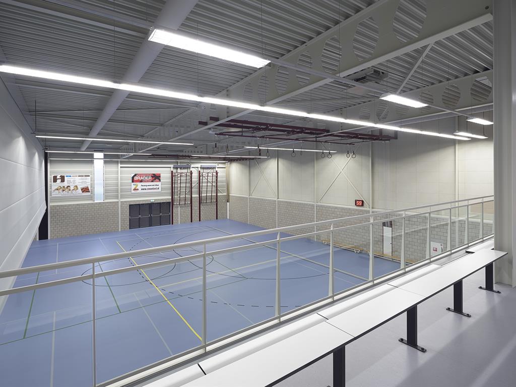 p6_medium